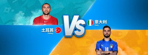 意大利vs土耳其分析
